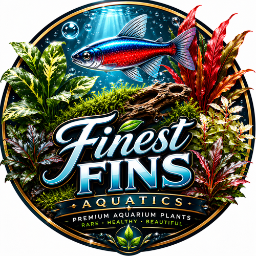 Finest Fins